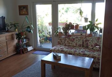 Helle 2-Zimmer-Wohnung mit Balkon, Einbauküche & Aufzug | Rümmingen | ab 15.12.2026