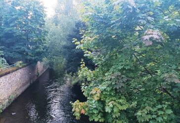 Leben am Fluß mit Blick auf die Sieg - stadtzentral im Grünen