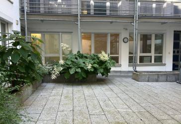 Vorschaubild Büro- /Praxis-Immobilie