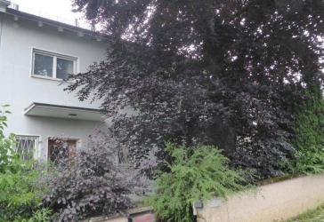 Bester Alpenblick im ruhigen Oberbeuren: 216 m² Doppelhaushälfte mit großem Südgarten & Kamin