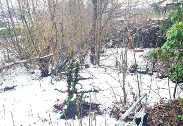 ***sattes Grün und viel Natur! im Mischgebiet Grundstück für Liebhaber!***
