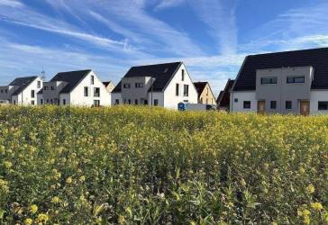 NEU ! KfW55 Doppelhaushälften in ER Möhrendorf
