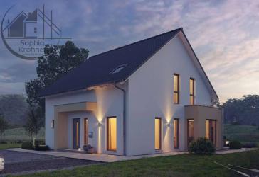 Modernes, energieeffizientes Fachwerkhaus: einfach selber ausBauen
