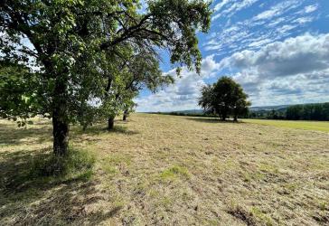 Vorschaubild Grundstück