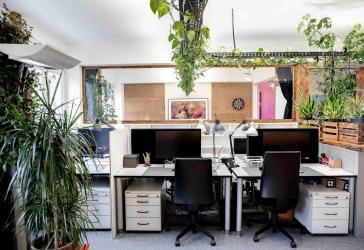 Vorschaubild Büro- /Praxis-Immobilie