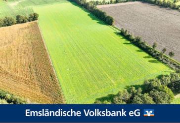 Vorschaubild Immobilie