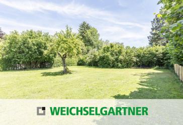 Vorschaubild Grundstück