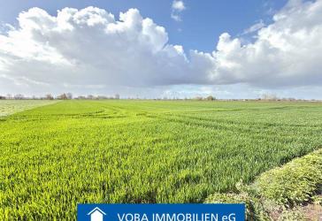 Verkauf im Bieterverfahren!
