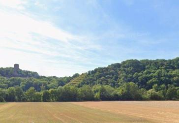 Waldfläche oberhalb des Neckars unweit der ´Burg Ehrenberg´ und der Wohnbebauung von Heinsheim provisonsfrei kaufen