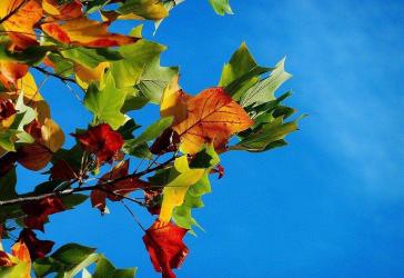Den nächsten Herbst im eigenen EFH inkl. Baugrundstück in bester Lage genießen-BIEN ZENKER IHR BAUPARTNER Nr.1!