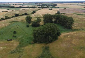 Ca. 70 ha Landwirtschaftsfläche (langfristig verpachtet) in der Nordwestuckermark (provisionsfrei)