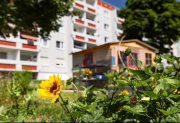 Erstklassige Wohnung jetzt mit reduzierter Miete