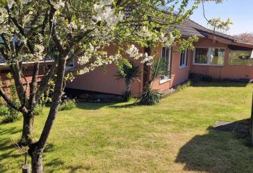 Freistehender Bungalow mit ca. 825 m² Grundstück in ruhiger Lage von Hainau – Modernes Wohnen auf einer Ebene