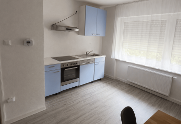 Gemütliches 2-Zimmer-Apartment in der Innenstadt von Pirmasens