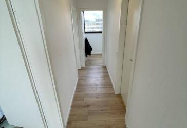 3 zimmer Wohnung