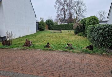 Vorschaubild Grundstück
