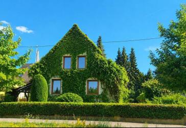 Kurze Wege, hoher Wohnwert - Einfamilienhaus in Top-Lage von Bad Kreuznach!