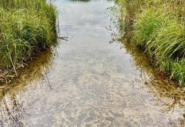 Königs Wusterhausen - Hanglage nah am Zeesener See
