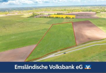Rd. 3 Hektar Grünland in Rhede -Brual zum Kauf