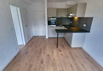 Moderne 1,5-Zimmer ETW, Erstbezug nach Sanierung, ohne Courtage