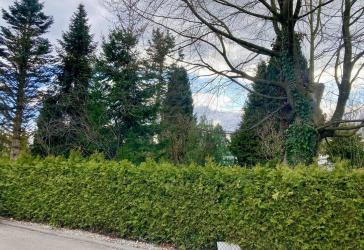 Vorschaubild Grundstück