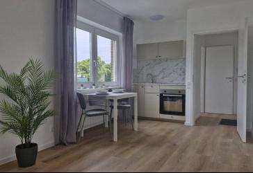 Top Kapitalanlage, möbliert, sofort frei, frisch renoviert, ohne Provision mit Balkon & Stellplatz