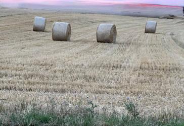 Zwei landwirtschaftliche Grundstücke mit insgesamt ca. 2.656 m²