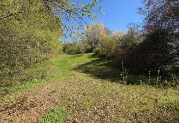 Idyllisches Baugrundstück im Bayerischen Wald - sonnige Hanglage & sofort bebaubar