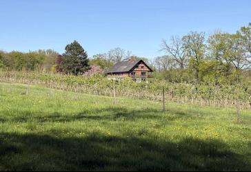 10 ha Paradies - Landhaus in traumhafter Alleinlage zu verkaufen