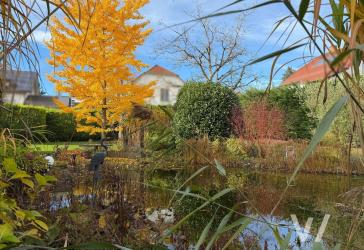 Wohntraum mit parkähnlichem Garten und Naturteich in ruhiger Lage von Ensheim