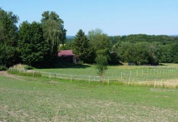 Grünfläche zwischen Bebauung, Sportplatz und Pferdeställen bei Glashütten in der Nähe von Königstein provisionsfrei kaufen