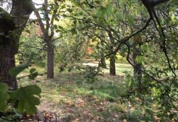 EIN BAUMHAUS FÜR IHRE KINDER - IM GARTEN IHRES EIGENEN HAUSES! TEL.: 0171 4863595