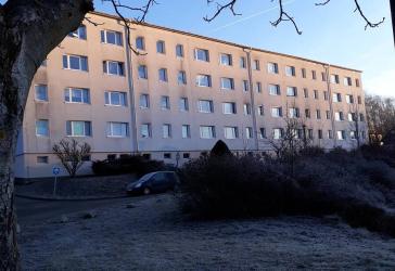 3-Raum-Wohnung im Erdgeschoss
