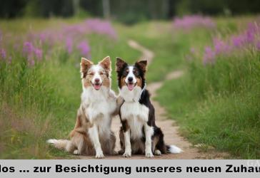 Vorschaubild Grundstück