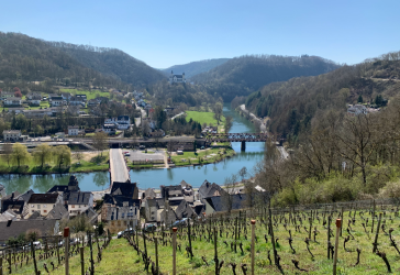 Vorschaubild Grundstück