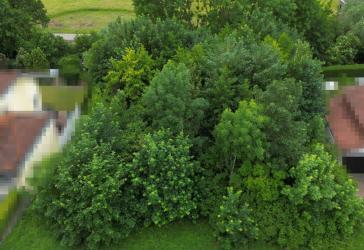 Erbbaugrundstücke für Doppelhausbebauung idyllisch an der Elsenz