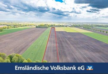 Rd. 2,7 Hektar Ackerland in Rhede -Brual zu verkaufen