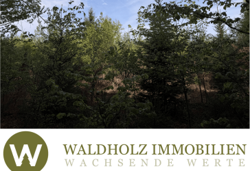 Vorschaubild Immobilie