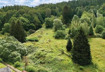 ca. 2.500 m² unbebautes Grundstück