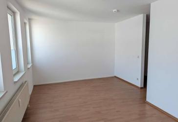 Kapitalanleger aufgepasst: Provisionsfreie 1-Zimmer-Wohnung in absoluter Ruhelage in Gleishammer!