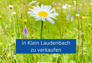 Vorschaubild Grundstück