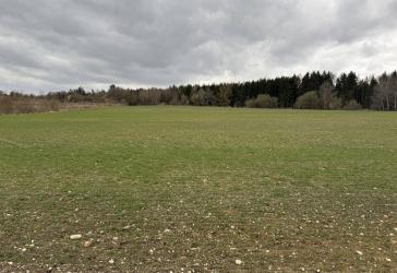 Vorschaubild Immobilie