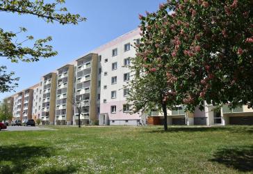 'Deine Gute Adresse' - 3-Raumwohnung im Erdgeschoss mit Balkon!