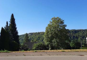 Vorschaubild Grundstück