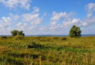 Traumhaftes Grundstück am Wasser - Grabower Bodden