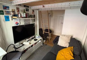 süßes WG Zimmer am Felsenkeller, Nachmieter gesucht !