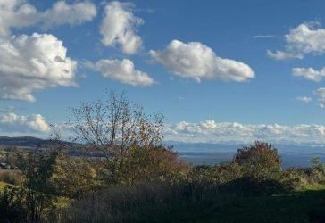 Im Grünen wohnen und den See- und Bergblick genießen !