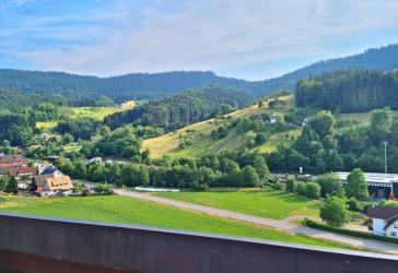 schöne 1,5 Zimmerwohnung in Oppenau