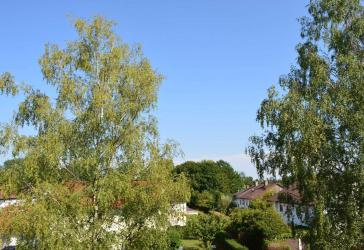 geräumige gepflegte 3 Zimmerwohnung in ruhiger Lage