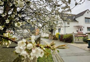 Der Frühling zieht ein - ein hübsches Einfamilienhaus mit Charme und viel Platz